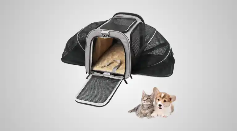 Melhores Bolsas de Transporte para Gatos e Cachorros